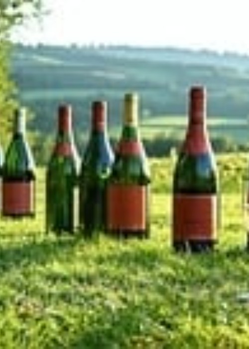 champagne thursday nätvekr resor (1)